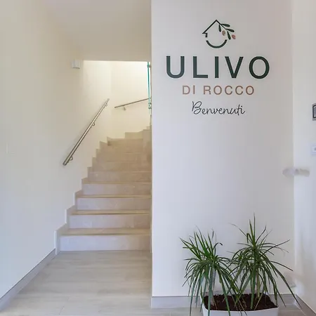 Ulivo Di Rocco By Barbarhouse Villa